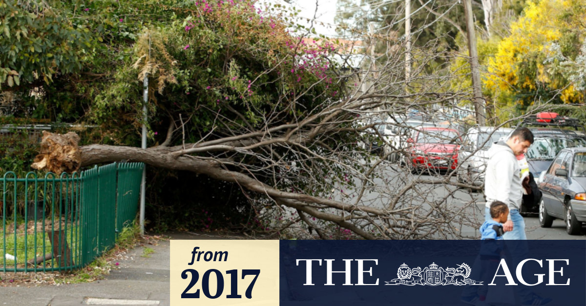 Melbourne weather Severe weather warning issued as wild winds return